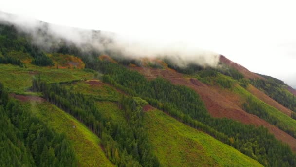 Dağ Manzarası Cascades Washington Abd — Stok video