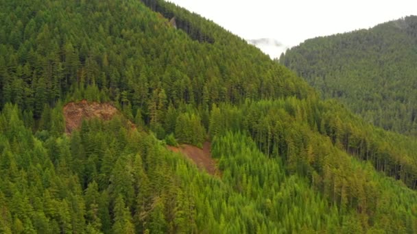 Paisagem Montanhosa Cascatas Washington Eua — Vídeo de Stock