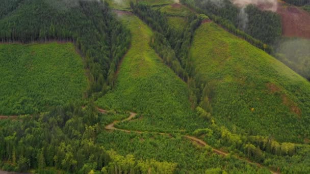 Paisaje Montaña Cascades Washington Estados Unidos — Vídeo de stock