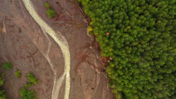 Căutarea Salvarea Dronelor Peisaj Forestier Râu — Videoclip de stoc