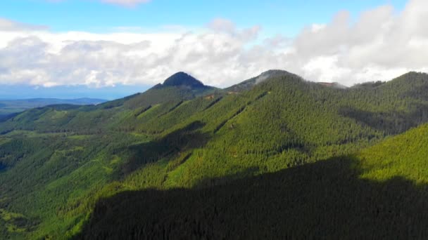 Washington Usa Natura Krajobraz — Wideo stockowe