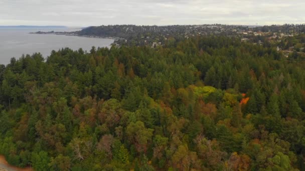 Drone Aerial Flyover Lincoln Park Seattle — Stock Video