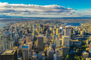 Seattle Washington Hava robot
