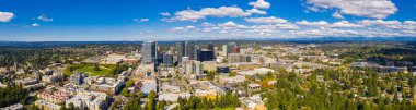 Bellevue Washington Hava dron panorama