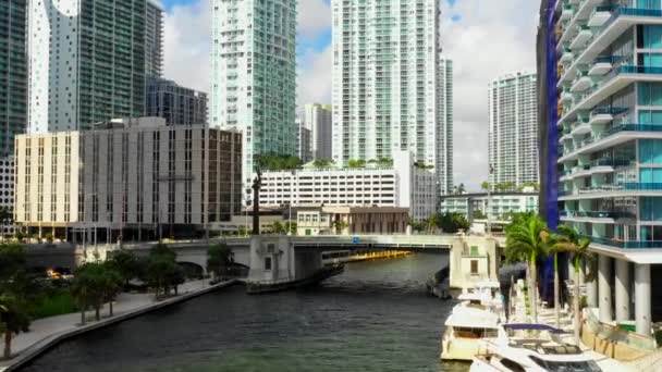 Aerial Video Flying Miami River — Stock Video