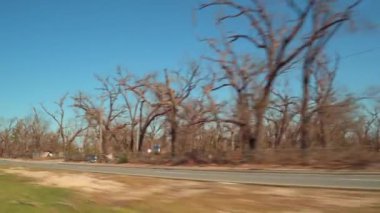 Hareketli görüntüleri Panama City kasırga Michael sonrası 2018