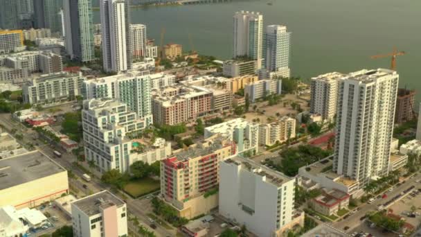 Antenowe Wyciągnąć Ujawniają Edgewater Miami — Wideo stockowe