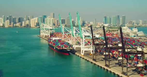 迈阿密港的空中视频土耳其无人机 — 图库视频影像