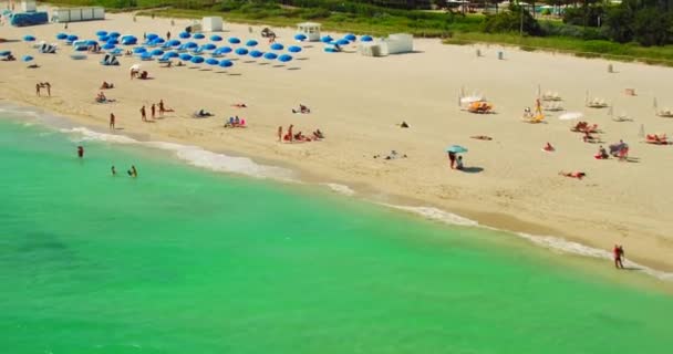 Aerial Video Beauty Beach — Stock Video