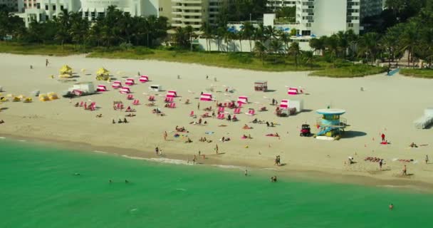 Rosa Miami Beach — Vídeo de stock