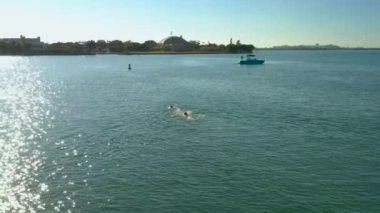 Havadan görüntüleri yüzme yarışı