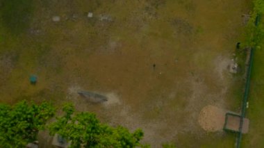 Hava video aktivite park kadar köpekler yatırmak için ortaya marina Körfezi