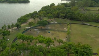 Hava video aktivite park köpekler için