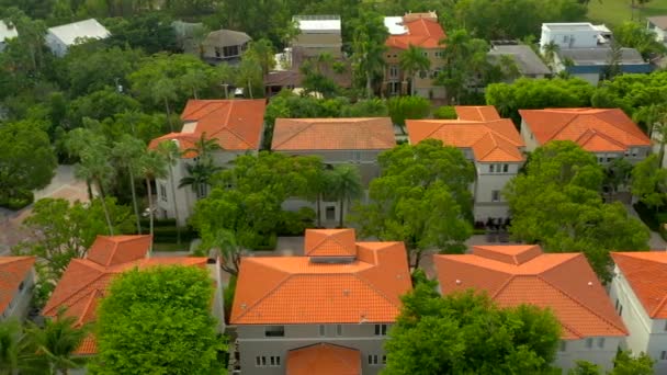 Residential Neighborhood Aerial Palm Trees — Stock Video