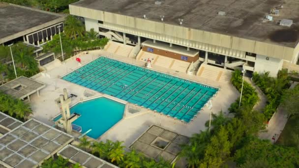 Aerial Video Olympic Size Pool — Stock Video