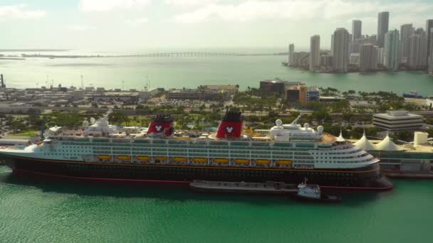 Letecké Záběry Disney Výletních Lodí Přístavu Miami — Stock video
