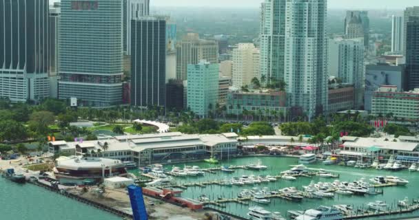 Flyg Miami Bayside Marketplace — Stockvideo