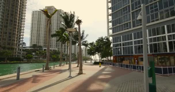 Imágenes Movimiento Del Suelo Brickell River Caminar Camino Peatonal — Vídeo de stock