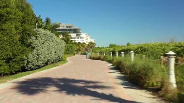 Rekaman Gerakan Darat Miami Beach Walkway Dengan Pohon Hijau — Stok Video