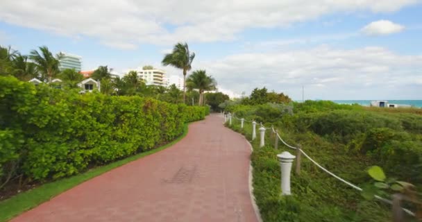 Gimbal Stabiliserad Footage Naturstig Miami Beach — Stockvideo