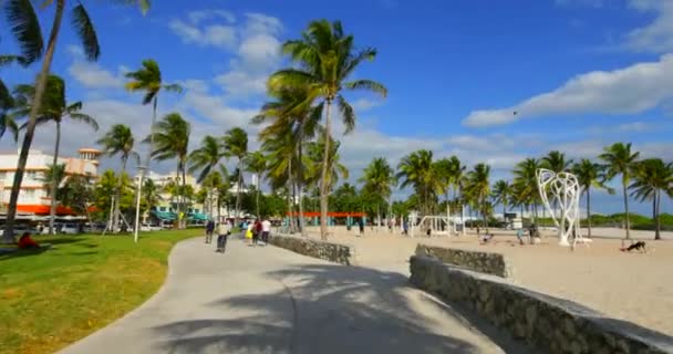 Miami Beach Kas Egzersiz Alan Spor Salonu — Stok video