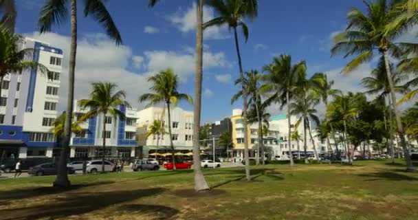 Miami Palmeras Ocean Drive — Vídeo de stock