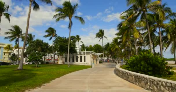 Pasarela Famosa Miami Beach Ocean Drive — Vídeo de stock