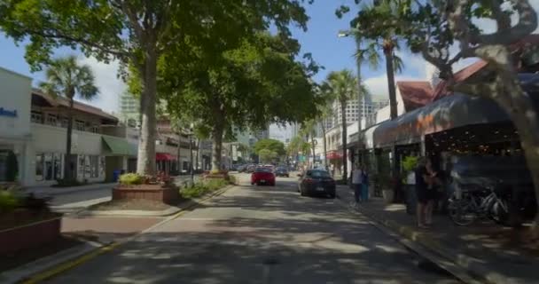 Kreuzfahrt Las Olas Fort Lauderdale — Stockvideo