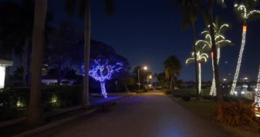 İnanılmaz tatil ağacı gece hareket video yaktı