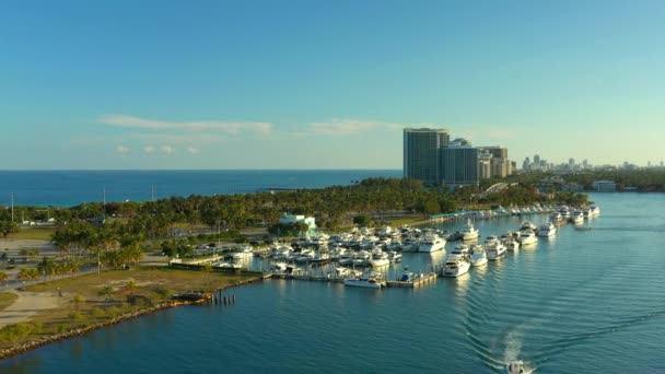 Haulover Beach Marina Miami Aerials — Stock Video