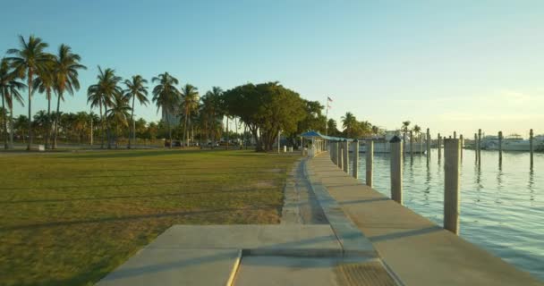 Haulover Parque Marina Frota Pesca — Vídeo de Stock