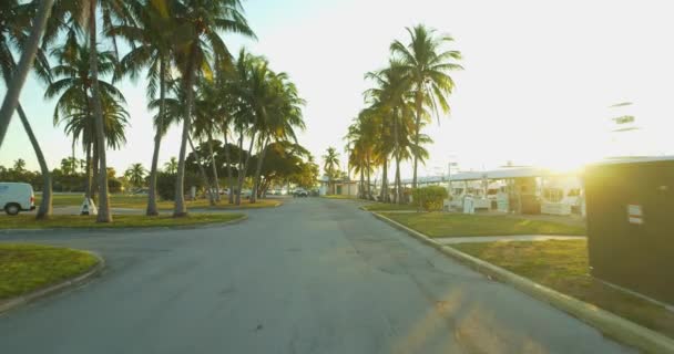 Miami Palmeiras Imagens Movimento Pôr Sol — Vídeo de Stock