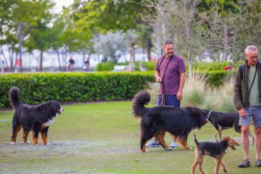 Miami Beach, Fl, Amerika Birleşik Devletleri - 22 Ocak 2019: Parkta insanlarla köpekler