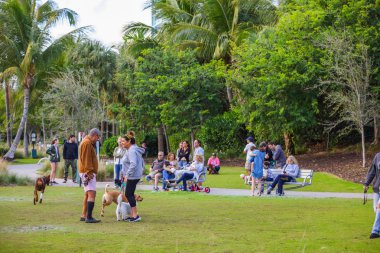 Miami Beach, Fl, Amerika Birleşik Devletleri - 22 Ocak 2019: Pets Park Miami Beach Güney Pointe içinde