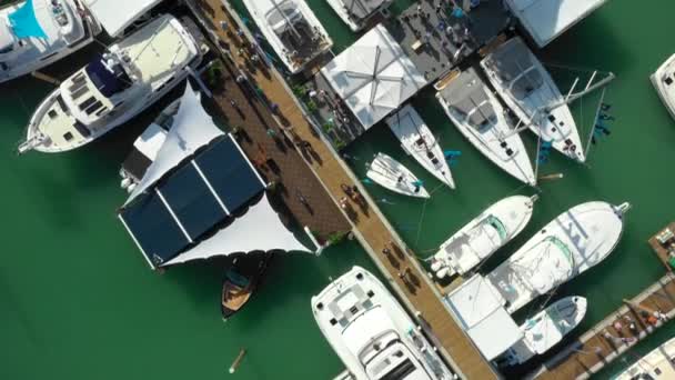 Aerial Drone Footage 2019 Miami Yacht Show — Stock Video