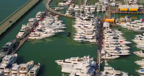 Aerial Drone Footage 2019 Miami Yacht Show — Stock Video