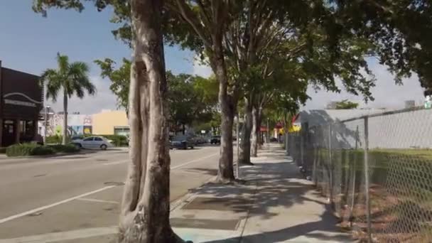 Miami Destino Calle Ocho Distrito Patrimônio Latino Cubano — Vídeo de Stock