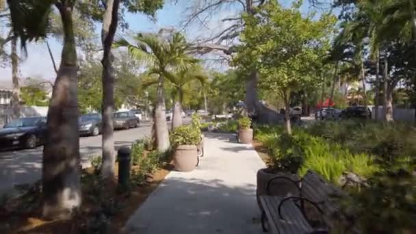 Stok Görüntüleri Küba Memorial Boulevard Park 60P — Stok video