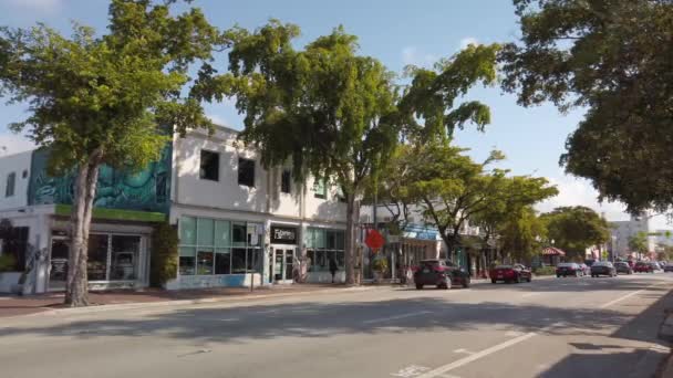 Calle Ocho Miami Florida Туристическое Направление — стоковое видео