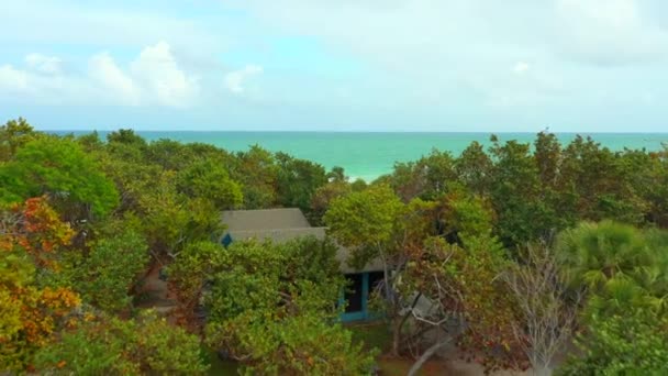Vzdušné Drby Letí Nad Stromy Aby Odkryli Pláž — Stock video
