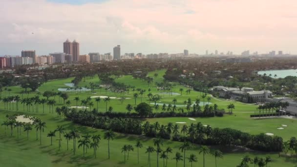 Palmiye Ağaçları Ile Golf Sahası Manzara — Stok video