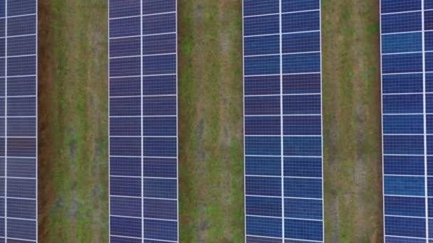 Aerial Project Solar Farm Energieopwekking — Stockvideo