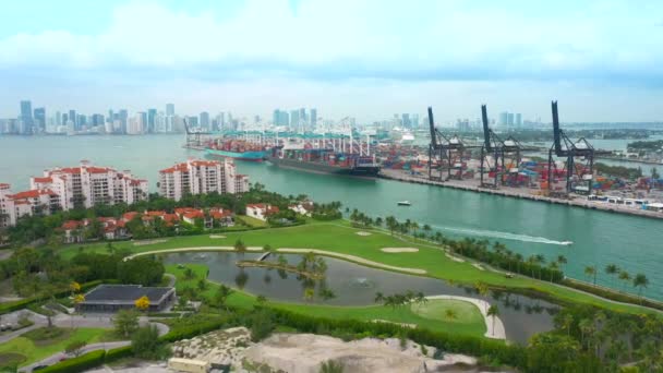 Aerial Video Port Miami Harbor 2019 Summer — Stock Video