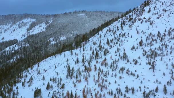 Trasporto Aereo Riprese Montagna Foresta Neve Paesaggio — Video Stock