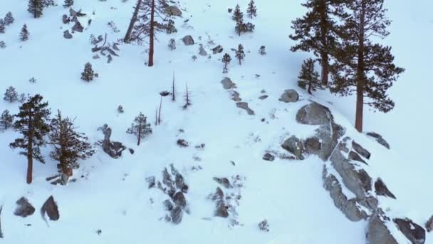 Vídeo Aéreo Montanha Neve Eldorado National Forest — Vídeo de Stock