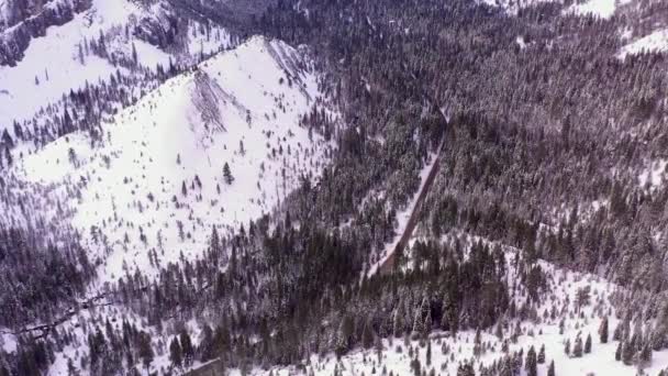 Vídeo Aéreo Neve Madeiras — Vídeo de Stock