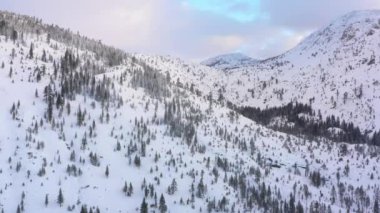 Antenler kar kış stok video