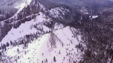 Eldorado Ulusal Orman California 4k hava drone video