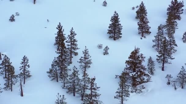 Aerial Video Winter Search Rescue Snow Mountains — Stock Video