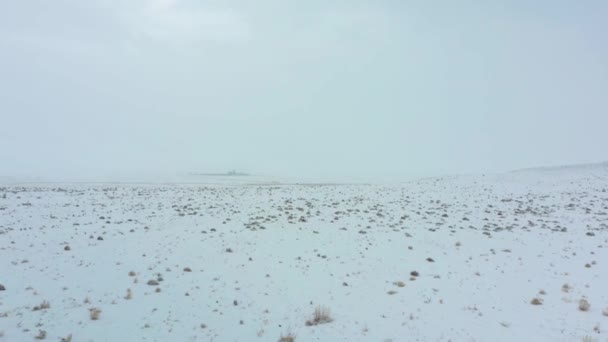 Vídeo Aéreo Invierno Escena Nieve — Vídeos de Stock